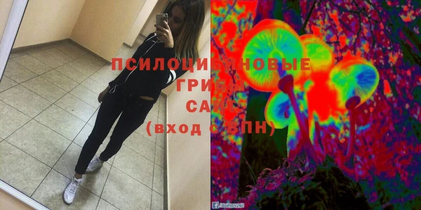 сатива Алексин