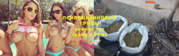 сатива Алексин