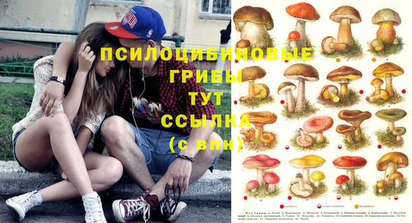 сатива Алексин