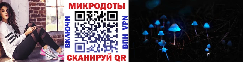 гидра   Дно  Галлюциногенные грибы Cubensis 